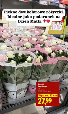 Lidl - gazetka promocyjna Zakupowe inspiracje w Lidl - na Dzień Matki i nie tylko od czwartku 21.05 do soboty 23.05