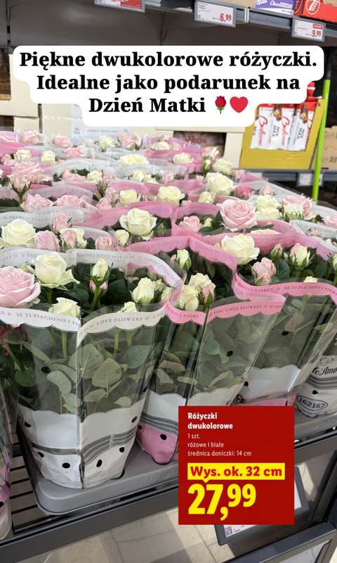 Lidl - gazetka promocyjna Zakupowe inspiracje w Lidl - na Dzień Matki i nie tylko od czwartku 21.05 do soboty 23.05