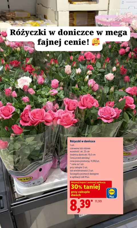 Lidl - gazetka promocyjna Zakupowe inspiracje w Lidl - na Dzień Matki i nie tylko od czwartku 21.05 do soboty 23.05 - strona 2