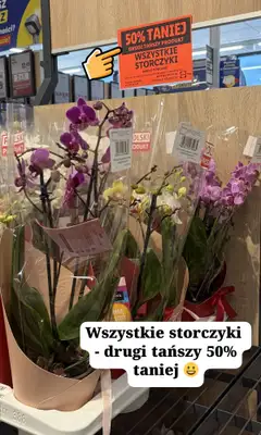 Lidl - gazetka promocyjna Zakupowe inspiracje w Lidl - na Dzień Matki i nie tylko od czwartku 21.05 do soboty 23.05 - strona 3