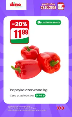 Dino - gazetka promocyjna Specjalna oferta na 22.05.2026 - promocje spoza gazetki od piątku 22.05 do piątku 22.05 - strona 5