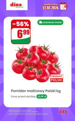 Dino - gazetka promocyjna Specjalna oferta na 22.05.2026 - promocje spoza gazetki od piątku 22.05 do piątku 22.05 - strona 2