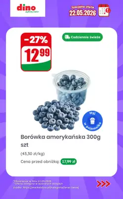 Dino - gazetka promocyjna Specjalna oferta na 22.05.2026 - promocje spoza gazetki od piątku 22.05 do piątku 22.05 - strona 3