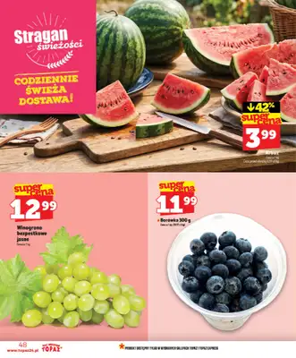 TOPAZ - gazetka promocyjna Nowa gazetka od czwartku, 28.05 od czwartku 28.05 do wtorku 02.06 - strona 48
