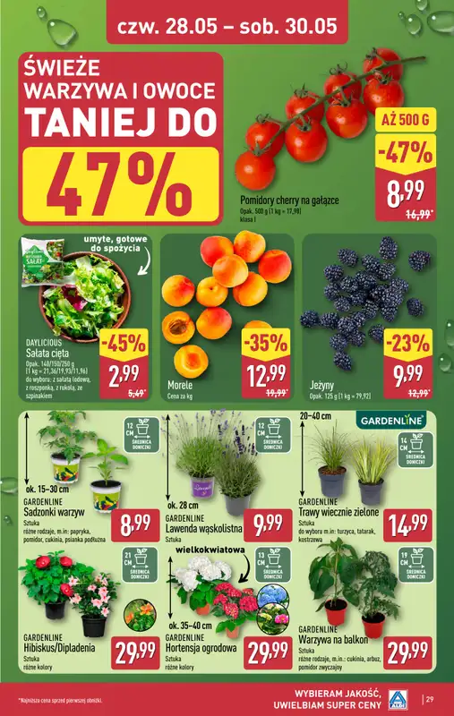 Aldi - gazetka promocyjna Pełny katalog! od poniedziałku 25.05 do soboty 30.05 - strona 29