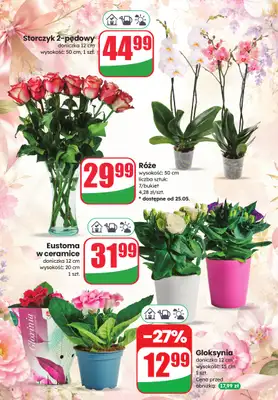 Dino - gazetka promocyjna Katalog - Dzień Mamy 2026 od piątku 22.05 do wtorku 26.05 - strona 4