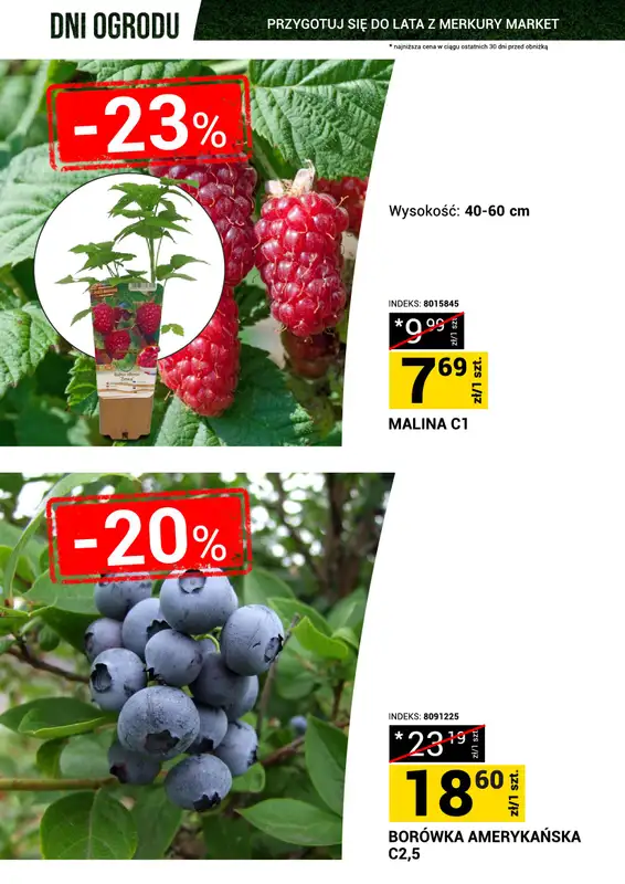 Merkury Market - gazetka promocyjna Dni Ogrodu od soboty 23.05 do niedzieli 31.05 - strona 8