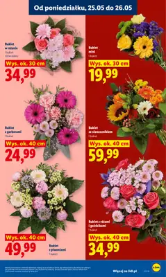 Lidl - gazetka promocyjna Oferta od poniedziałku od poniedziałku 25.05 do środy 27.05 - strona 7