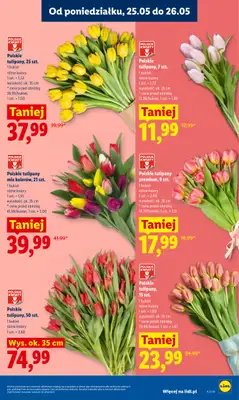 Lidl - gazetka promocyjna Oferta od poniedziałku od poniedziałku 25.05 do środy 27.05 - strona 5