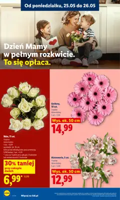 Lidl - gazetka promocyjna Oferta od poniedziałku od poniedziałku 25.05 do środy 27.05 - strona 4