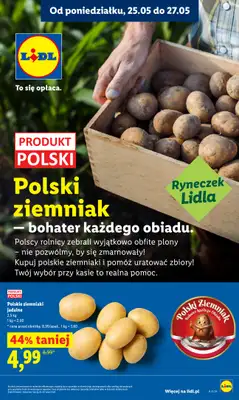 Lidl - gazetka promocyjna Oferta od poniedziałku od poniedziałku 25.05 do środy 27.05 - strona 39