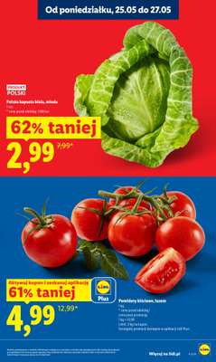 Lidl - gazetka promocyjna Oferta od poniedziałku od poniedziałku 25.05 do środy 27.05 - strona 19