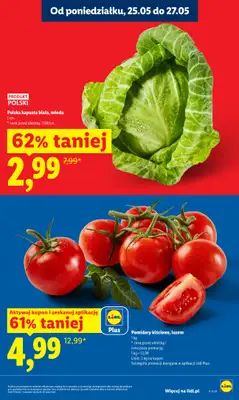 Lidl - gazetka promocyjna Oferta od poniedziałku od poniedziałku 25.05 do środy 27.05 - strona 19