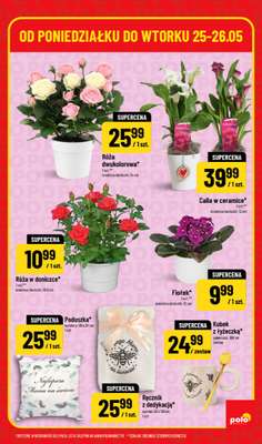 POLOmarket - gazetka promocyjna Super hity od poniedziałku 25.05 do wtorku 26.05 - strona 5