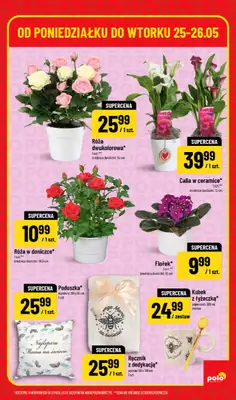 POLOmarket - gazetka promocyjna Super hity od poniedziałku 25.05 do wtorku 26.05 - strona 5