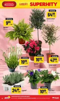 POLOmarket - gazetka promocyjna Gazetka od środy 27.05 do wtorku 02.06 - strona 60