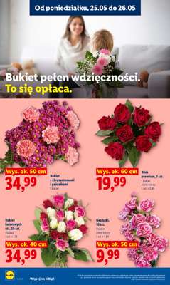 Lidl - gazetka promocyjna Oferta od poniedziałku od poniedziałku 25.05 do środy 27.05 - strona 6