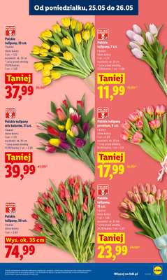 Lidl - gazetka promocyjna Oferta od poniedziałku od poniedziałku 25.05 do środy 27.05 - strona 5