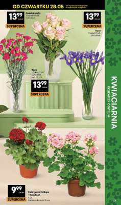 Delikatesy Centrum - gazetka promocyjna Gazetka  do środy 10.06 - strona 47