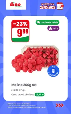 Dino - gazetka promocyjna Specjalna oferta na 26.05.2026 - promocje spoza gazetki od wtorku 26.05 do wtorku 26.05 - strona 8