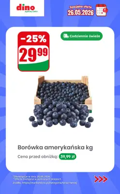 Dino - gazetka promocyjna Specjalna oferta na 26.05.2026 - promocje spoza gazetki od wtorku 26.05 do wtorku 26.05 - strona 10