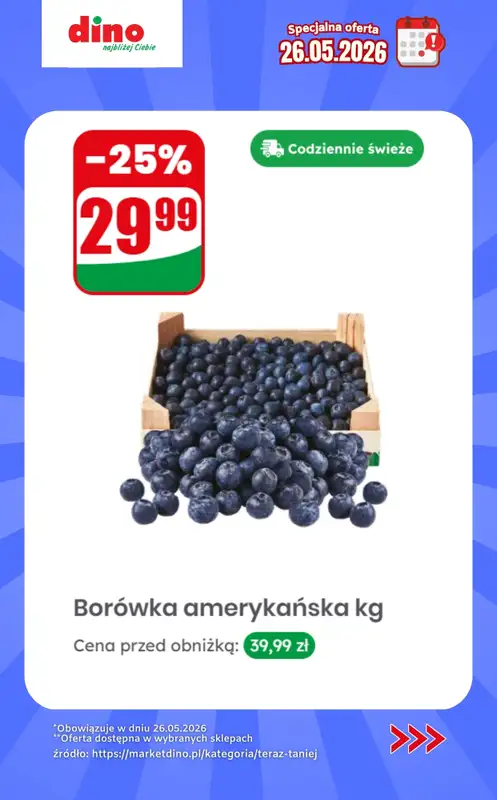 Dino - gazetka promocyjna Specjalna oferta na 26.05.2026 - promocje spoza gazetki od wtorku 26.05 do wtorku 26.05 - strona 10