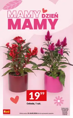 Twój Market - gazetka promocyjna Mamy Dzień Mamy od wtorku 26.05 do wtorku 26.05 - strona 10