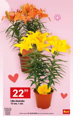 Twój Market - gazetka promocyjna Mamy Dzień Mamy od wtorku 26.05 do wtorku 26.05 - strona 11