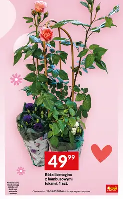 Twój Market - gazetka promocyjna Mamy Dzień Mamy od wtorku 26.05 do wtorku 26.05 - strona 9