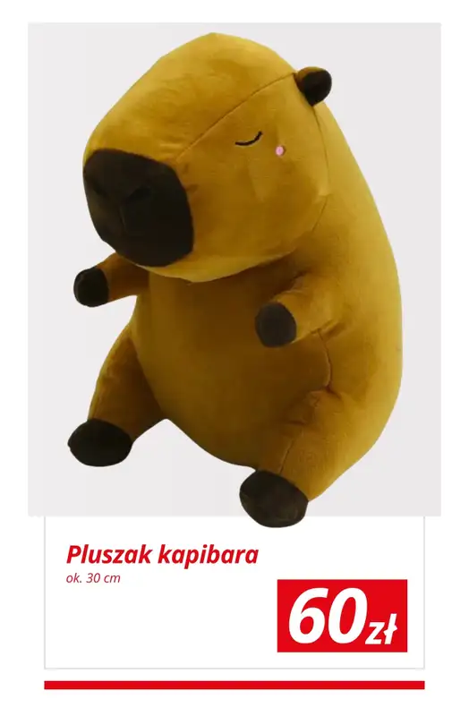 KiK - gazetka promocyjna Prezenty na Dzień Dziecka taniej w KiK od wtorku 26.05 do niedzieli 31.05 - strona 5