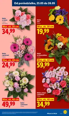 Lidl - gazetka promocyjna Oferta od poniedziałku od poniedziałku 25.05 do środy 27.05 - strona 7