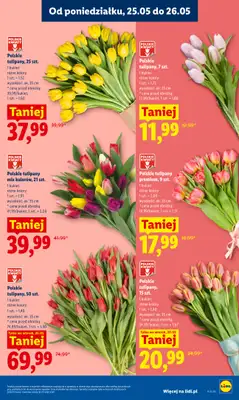Lidl - gazetka promocyjna Oferta od poniedziałku od poniedziałku 25.05 do środy 27.05 - strona 5