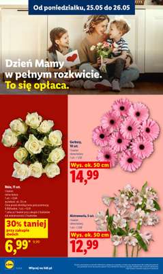 Lidl - gazetka promocyjna Oferta od poniedziałku od poniedziałku 25.05 do środy 27.05 - strona 4