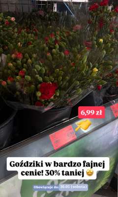 Aldi - gazetka promocyjna Zakupowe inspiracje w Aldi od wtorku 26.05 do soboty 30.05 - strona 15