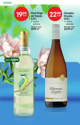 Żabka - gazetka promocyjna Katalog win od środy 27.05 do wtorku 09.06 - strona 10