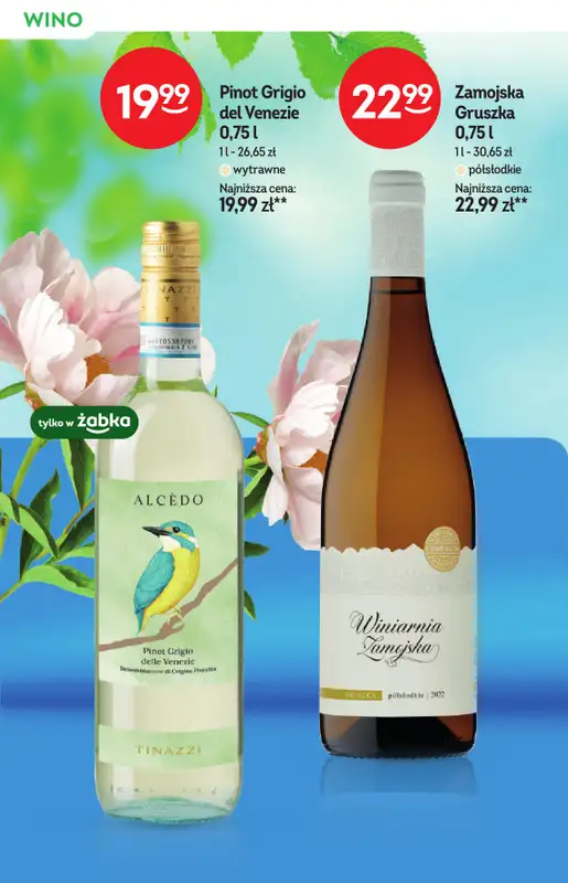 Żabka - gazetka promocyjna Katalog win od środy 27.05 do wtorku 09.06 - strona 10