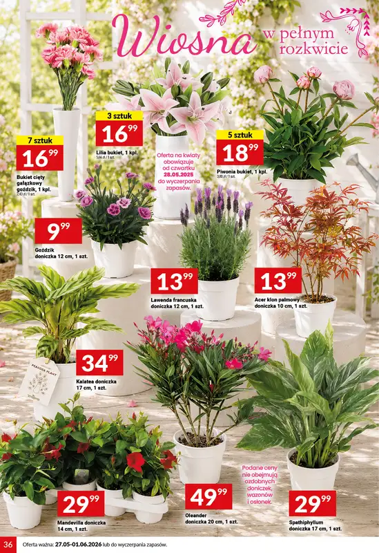 Twój Market - gazetka promocyjna Gazetka od środy 27.05 do poniedziałku 01.06 - strona 36