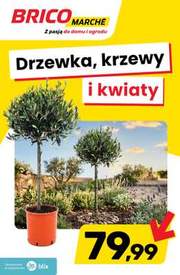 Bricomarche - gazetka promocyjna Drzewka, krzewy i kwiaty od środy 27.05 do soboty 30.05
