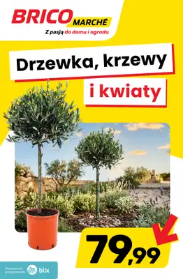 Bricomarche - gazetka promocyjna Drzewka, krzewy i kwiaty od środy 27.05 do soboty 30.05