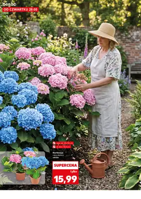 Kaufland - gazetka promocyjna Oferta Kaufland - Ogród od czwartku 28.05 do wtorku 02.06 - strona 10