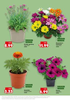 Kaufland - gazetka promocyjna Oferta Kaufland - Ogród od czwartku 28.05 do wtorku 02.06 - strona 11