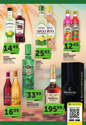 Euro Sklep - gazetka promocyjna Katalog alkoholowy  do środy 10.06 - strona 3