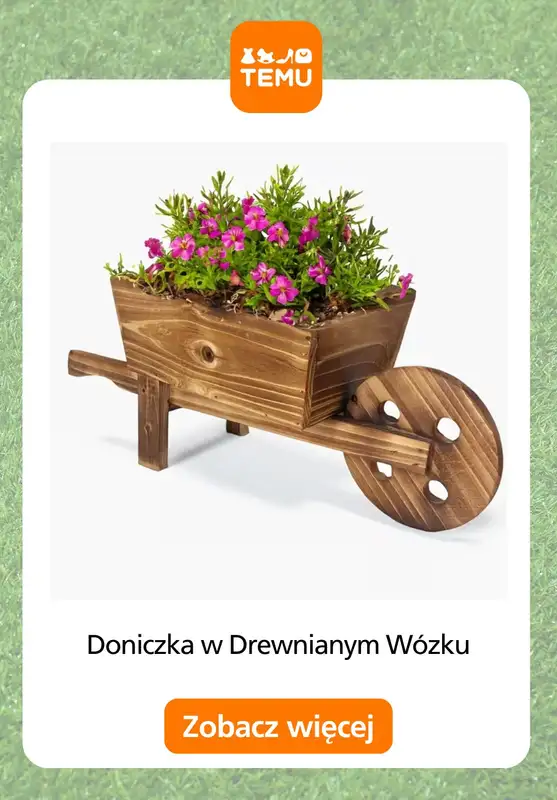 Temu - gazetka promocyjna Sadzarki i pojemniki od czwartku 28.05  - strona 12