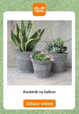 Temu - gazetka promocyjna Sadzarki i pojemniki od czwartku 28.05  - strona 7