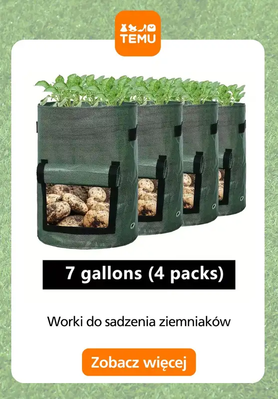 Temu - gazetka promocyjna Sadzarki i pojemniki od czwartku 28.05  - strona 4