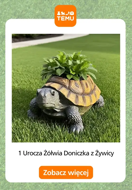 Temu - gazetka promocyjna Sadzarki i pojemniki od czwartku 28.05  - strona 11