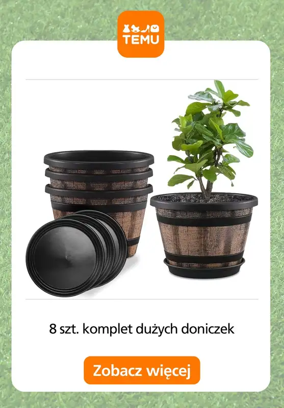 Temu - gazetka promocyjna Sadzarki i pojemniki od czwartku 28.05  - strona 14