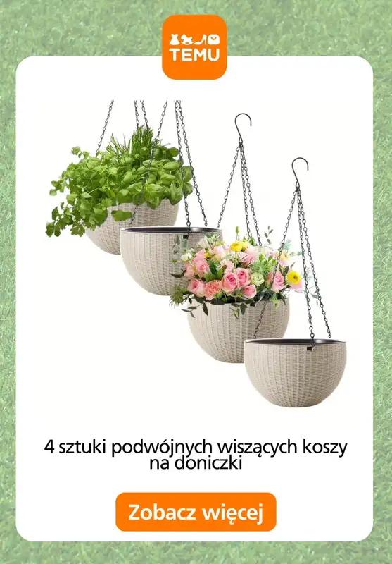 Temu - gazetka promocyjna Sadzarki i pojemniki od czwartku 28.05  - strona 10