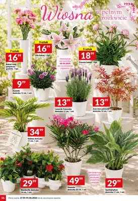Twój Market - gazetka promocyjna Gazetka od środy 27.05 do poniedziałku 01.06 - strona 36