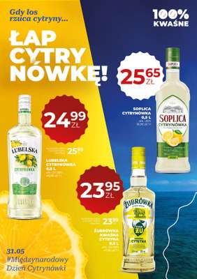Duży Ben - gazetka promocyjna Gazetka alkoholowa od czwartku 28.05 do środy 10.06 - strona 25
